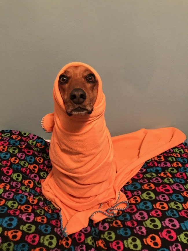 (14)fotografii-koi-ja-otkrivaat-najubavata-strana-na-nashiot-svet-kafepauza.mk