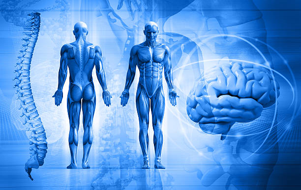 15-fakti-koi-dokazhuvaat-deka-vasheto-telo-ima-vistinski-supermokji-kafepauza.mk