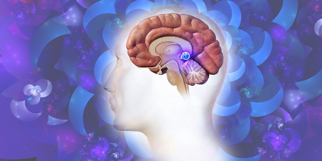 (1)pinealna-zhlezda-organ-vo-koj-se-naogha-vashata-dusha-kafepauza.mk