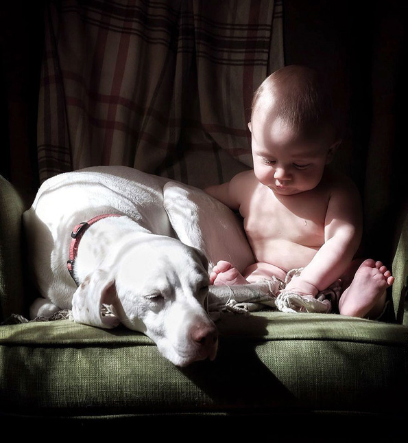 Најслаткото дуо на светот: Куче коешто порано било измачувано се плаши од сите освен од ова бебе