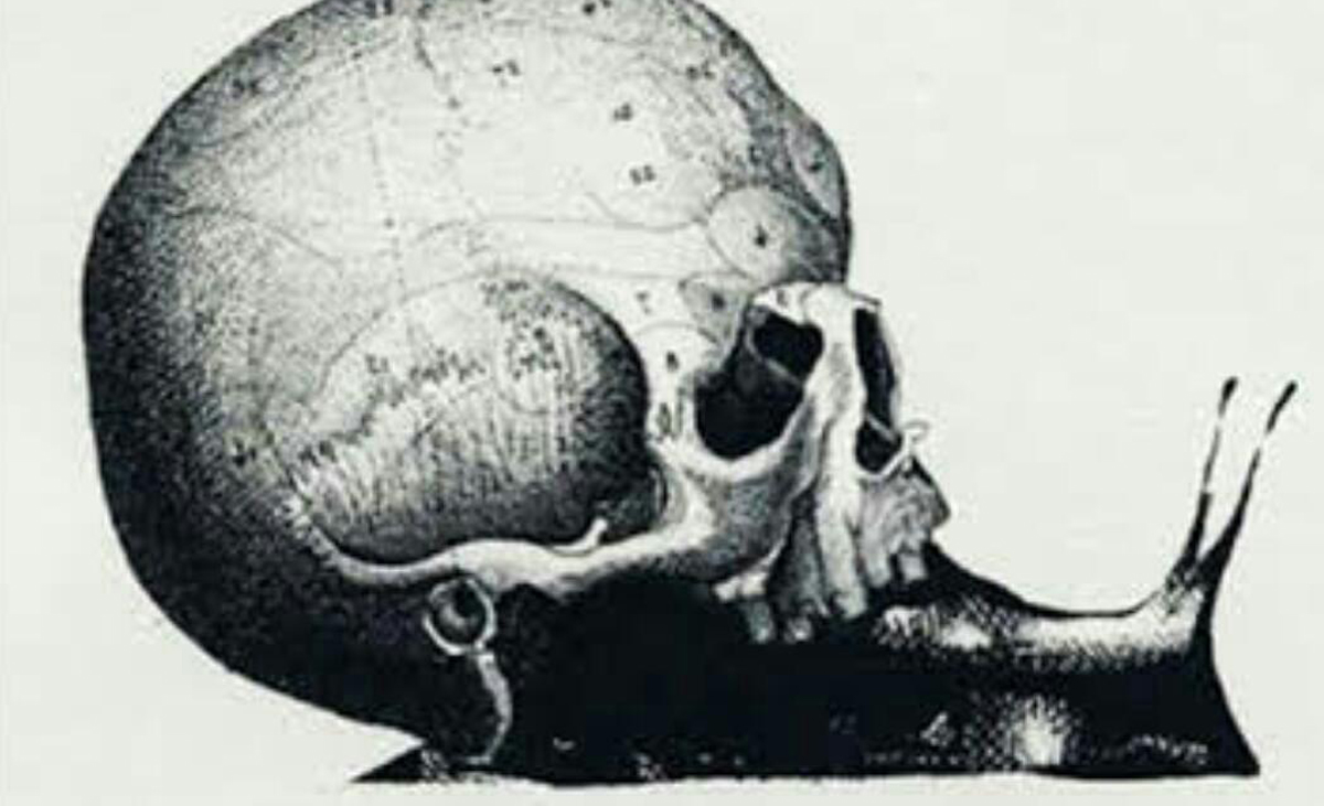 Она што прво ќе го забележите на сликата ќе ја открие тајната страна на вашиот карактер