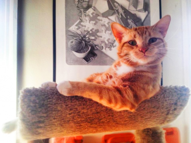 (26)fotografii-koi-ja-otkrivaat-najubavata-strana-na-nashiot-svet-kafepauza.mk