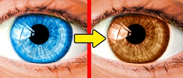 (3)15-fakti-koi-dokazhuvaat-deka-vasheto-telo-ima-vistinski-supermokji-kafepauza.mk