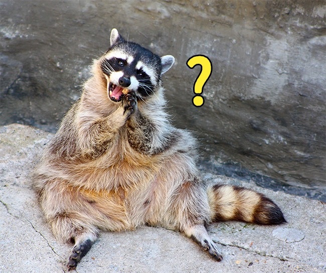 (4)19-interesni-raboti-koi-sigurno-ve-mrzi-da-gi-prebarate-na-internet-kafepauza.mk