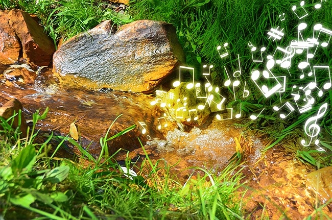 (5)19-interesni-raboti-koi-sigurno-ve-mrzi-da-gi-prebarate-na-internet-kafepauza.mk