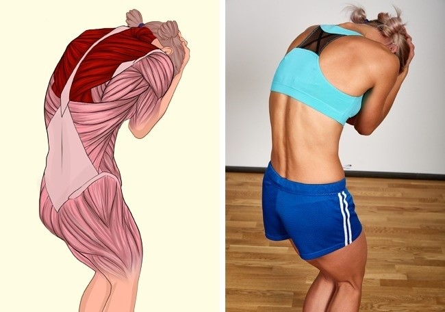 (8)vezhbi-i-sliki-koi-kje-vi-pokazhat-koi-muskuli-gi-istegnuvate-kafepauza.mk