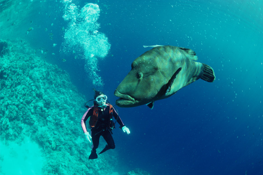 (9)10-rabotni-mesta-za-avanturisti-kafepauza.mk