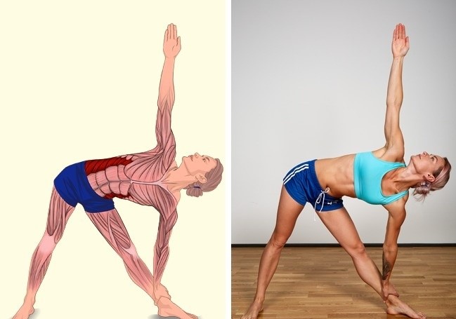 (9)vezhbi-i-sliki-koi-kje-vi-pokazhat-koi-muskuli-gi-istegnuvate-kafepauza.mk