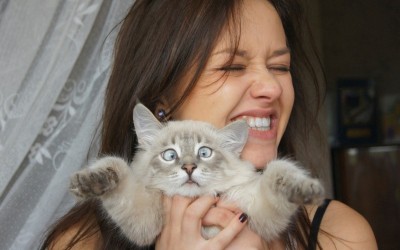 11 работи што треба да ги знаете пред да се вљубите во девојка која обожува мачки