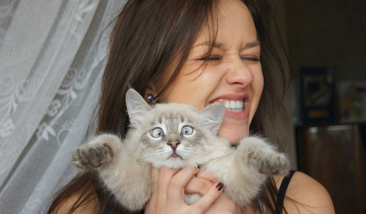 11 работи што треба да ги знаете пред да се вљубите во девојка која обожува мачки