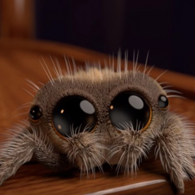 Запознајте го Лукас: Најслаткиот пајак што ќе ја излечи вашата арахнофобија