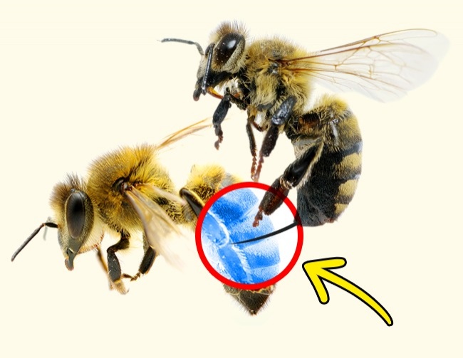 (11)16-chudni-fakti-koi-se-pokazhale-kako-vistiniti-kafepauza.mk