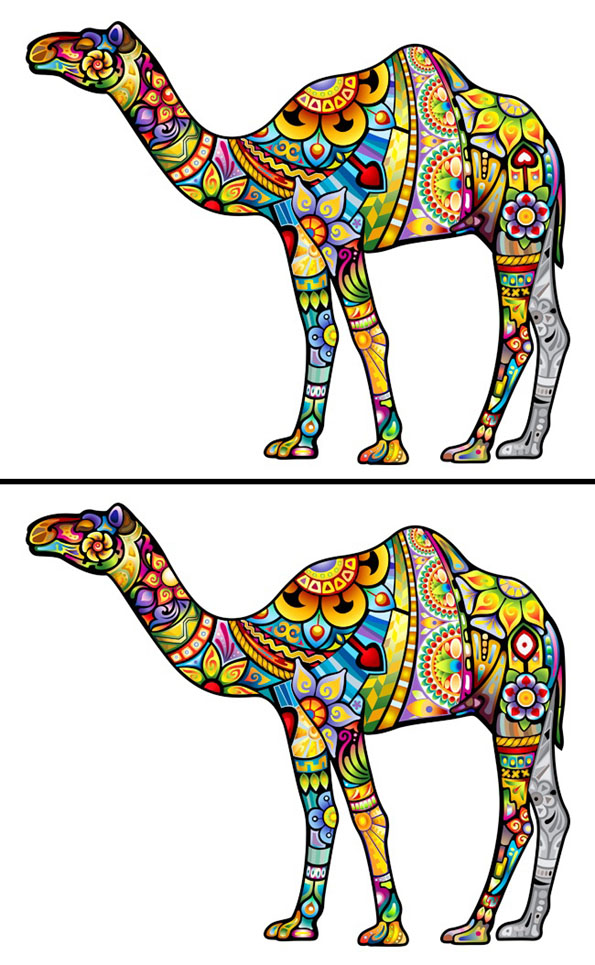 Само генијалци можат да ги најдат разликите помеѓу следниве 15 фотографии