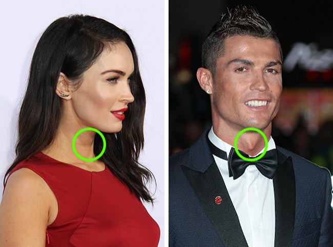 (15)16-chudni-fakti-koi-se-pokazhale-kako-vistiniti-kafepauza.mk