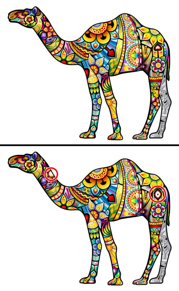 Само генијалци можат да ги најдат разликите помеѓу следниве 15 фотографии