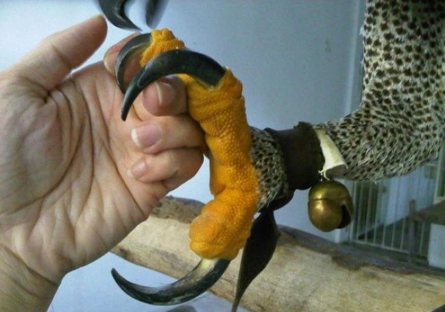 (19)25-neobichni-raboti-koi-sigurno-gi-nemate-videno-kafepauza.mk