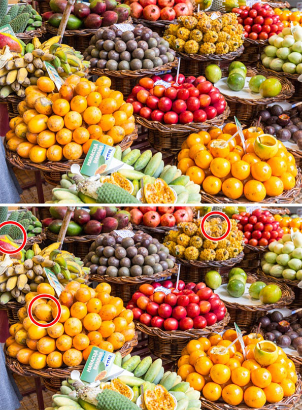 Само генијалци можат да ги најдат разликите помеѓу следниве 15 фотографии