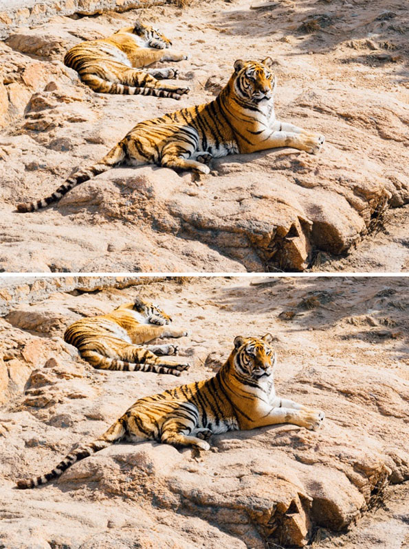 Само генијалци можат да ги најдат разликите помеѓу следниве 15 фотографии