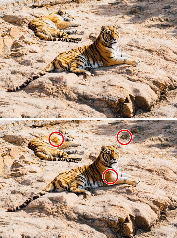 Само генијалци можат да ги најдат разликите помеѓу следниве 15 фотографии