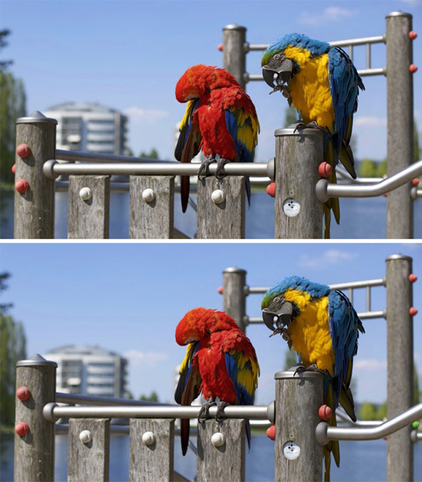 Само генијалци можат да ги најдат разликите помеѓу следниве 15 фотографии