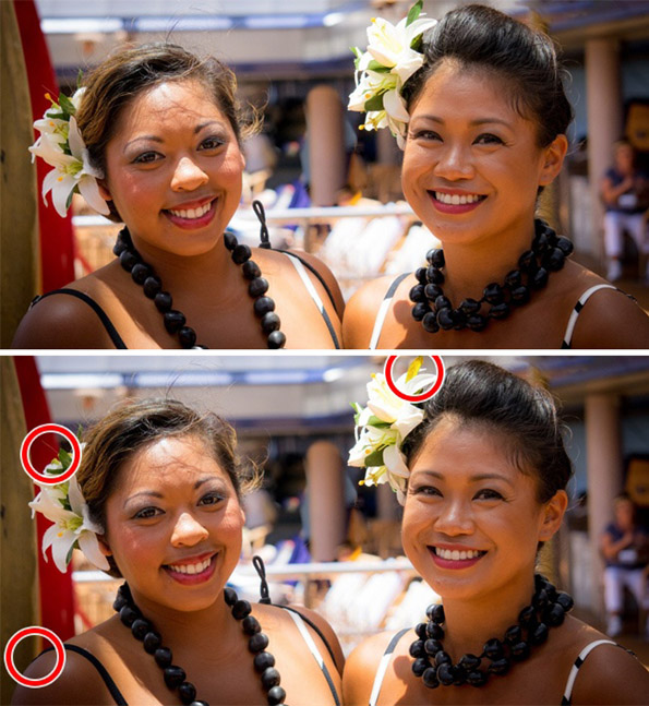 Само генијалци можат да ги најдат разликите помеѓу следниве 15 фотографии