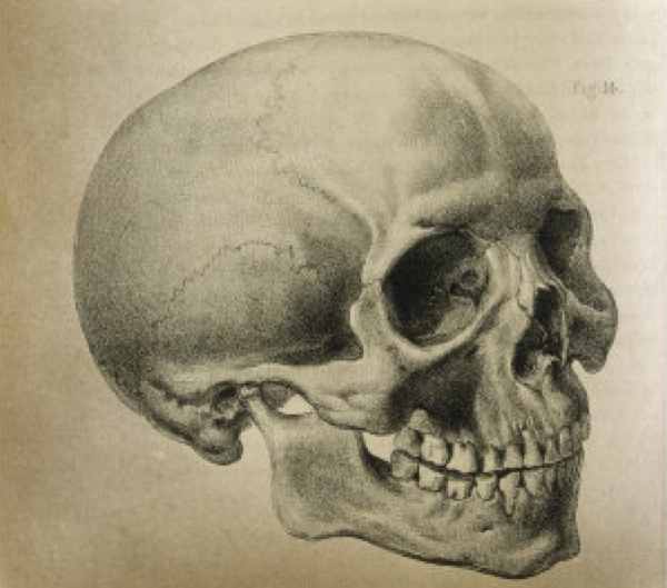 (9)10-sledni-mozhni-chekori-vo-evolucijata-na-chovekot-kafepauza.mk