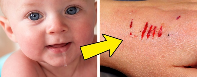 (9)12-fakti-koi-pokazhuvaat-deka-svetot-e-poln-so-iznenaduvanja-kafepauza.mk