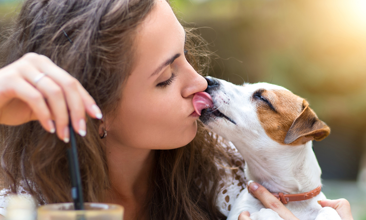 5 одвратни факти што треба да ги знаете пред да го бакнете вашето куче