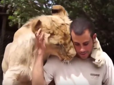Моќта на прегратката: Видео од животни како гушкаат луѓе