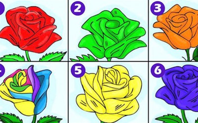 Одлична анализа: Одберете ја најубавата роза и откријте ги длабоките тајни на вашиот карактер