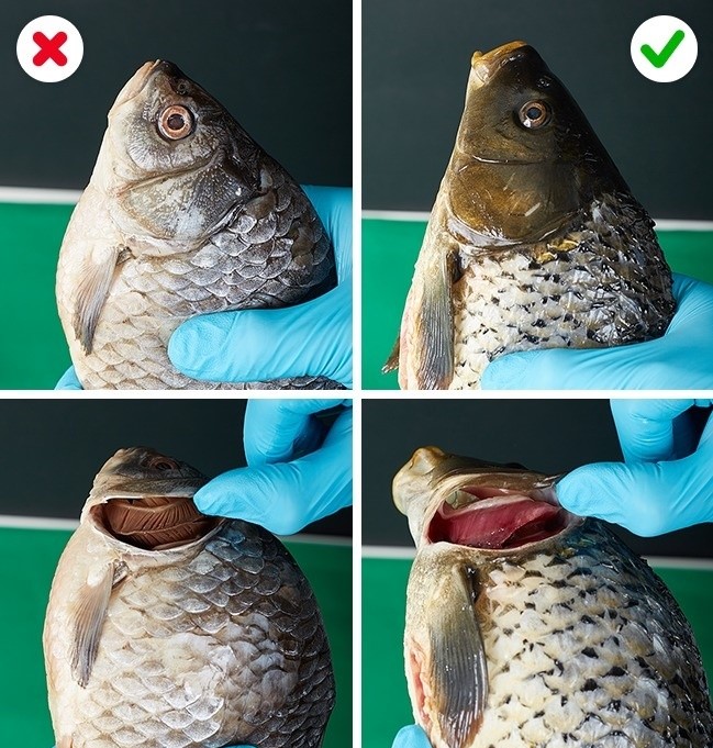 (10)12-soveti-koi-kje-vi-pomognat-da-se-spasite-od-truenje-so-hrana-kafepauza.mk