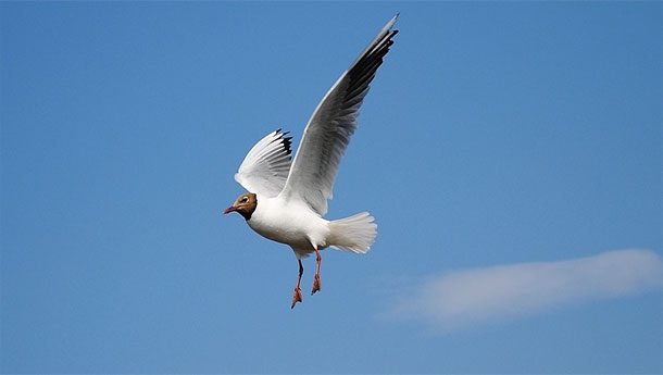 (10)25-prashanja-na-koi-ne-sakate-da-im-go-znaete-odgovorot-kafepauza.mk