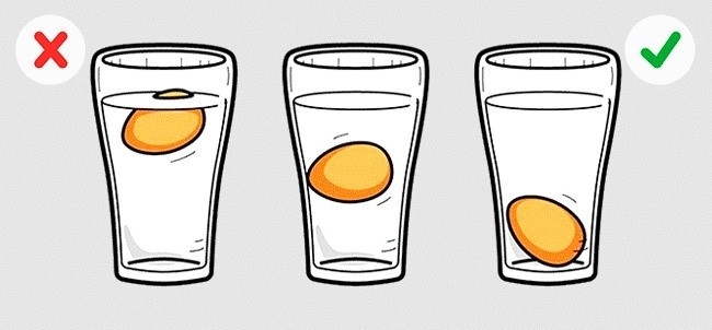 (11)12-soveti-koi-kje-vi-pomognat-da-se-spasite-od-truenje-so-hrana-kafepauza.mk