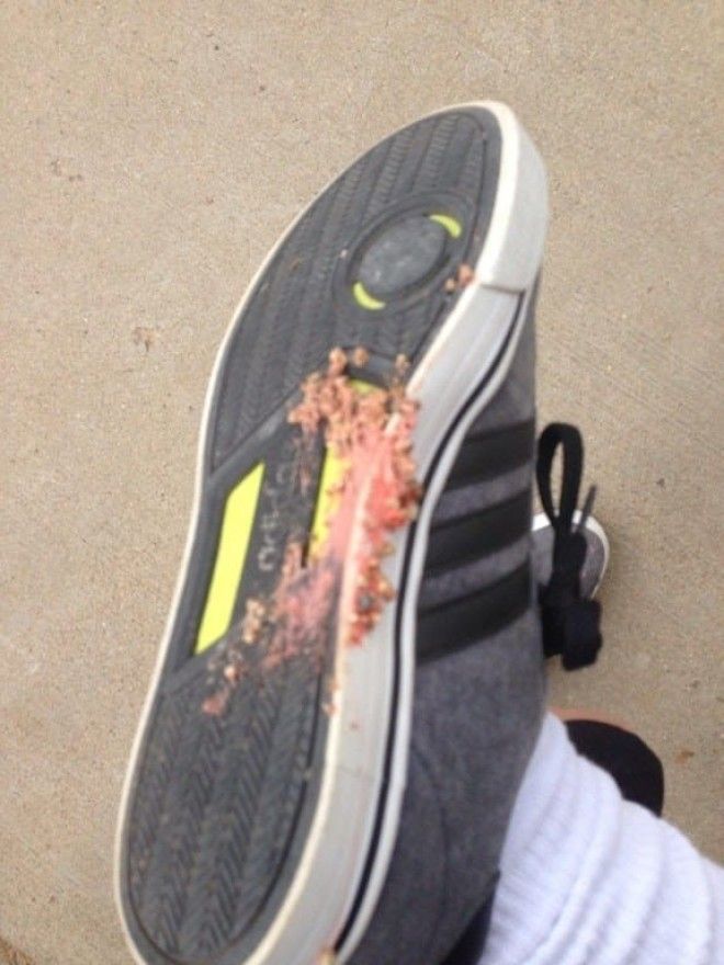 12-20-neprijatni-situacii-koi-site-nie-sme-gi-dozhiveale-barem-ednash-vo-zhivotot-www.kafepauza.mk_