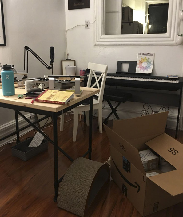 Нинџа мачка: Обидете се да го најдете слаткиот натрапник на овие фотографии