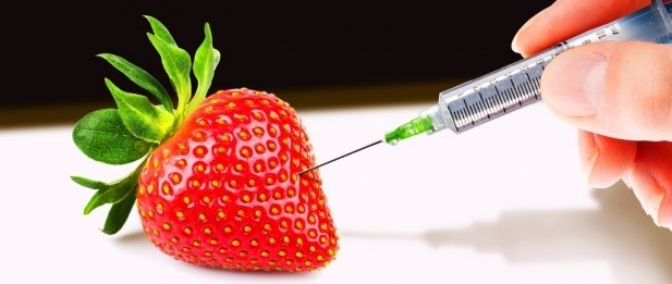 (12)12-soveti-koi-kje-vi-pomognat-da-se-spasite-od-truenje-so-hrana-kafepauza.mk