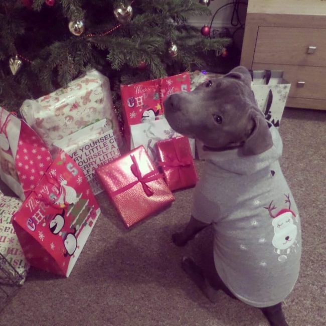 (1)23-fotografii-koi-kje-go-razbudat-bozhikjniot-duh-kaj-sekogo-kafepauza.mk