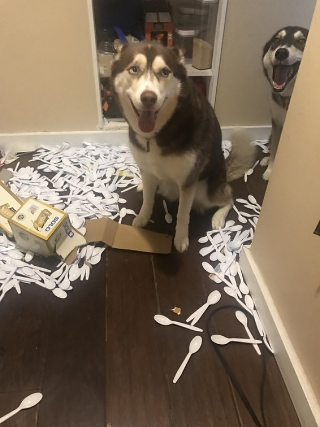 13-20-neprijatni-situacii-koi-site-nie-sme-gi-dozhiveale-barem-ednash-vo-zhivotot-www.kafepauza.mk_