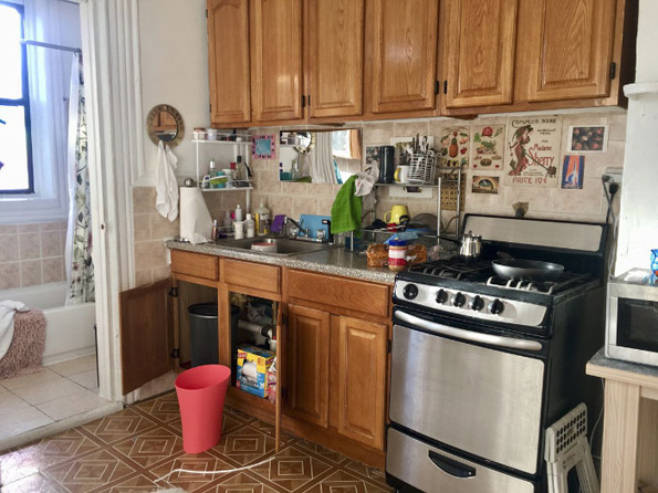 Нинџа мачка: Обидете се да го најдете слаткиот натрапник на овие фотографии