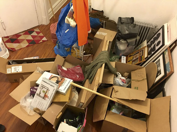 Нинџа мачка: Обидете се да го најдете слаткиот натрапник на овие фотографии