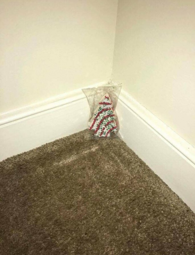 (14)23-fotografii-koi-kje-go-razbudat-bozhikjniot-duh-kaj-sekogo-kafepauza.mk