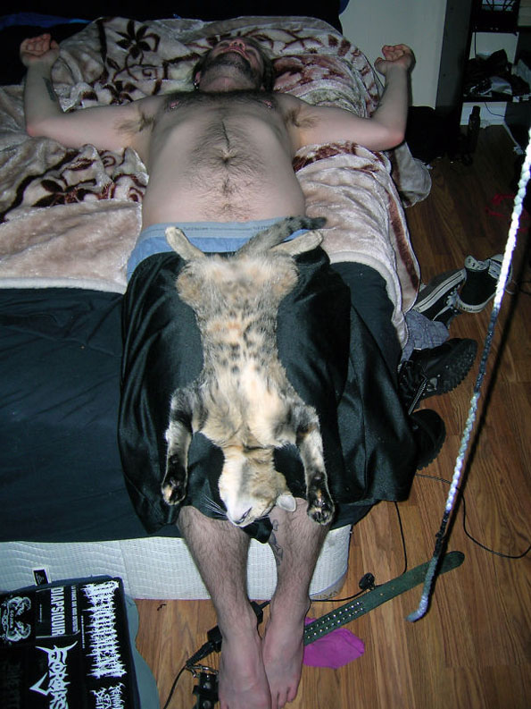 Домашни миленици кои без грижа на совест ги украле љубовните партнери на нивните сопственици