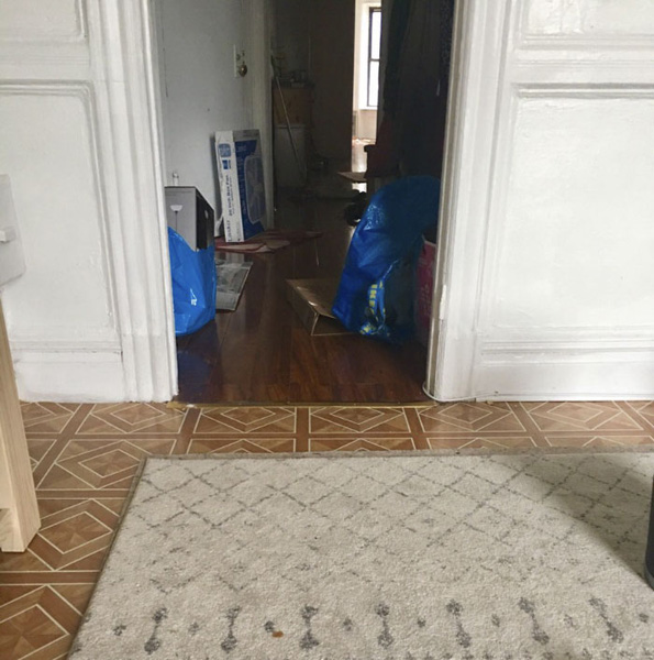 Нинџа мачка: Обидете се да го најдете слаткиот натрапник на овие фотографии