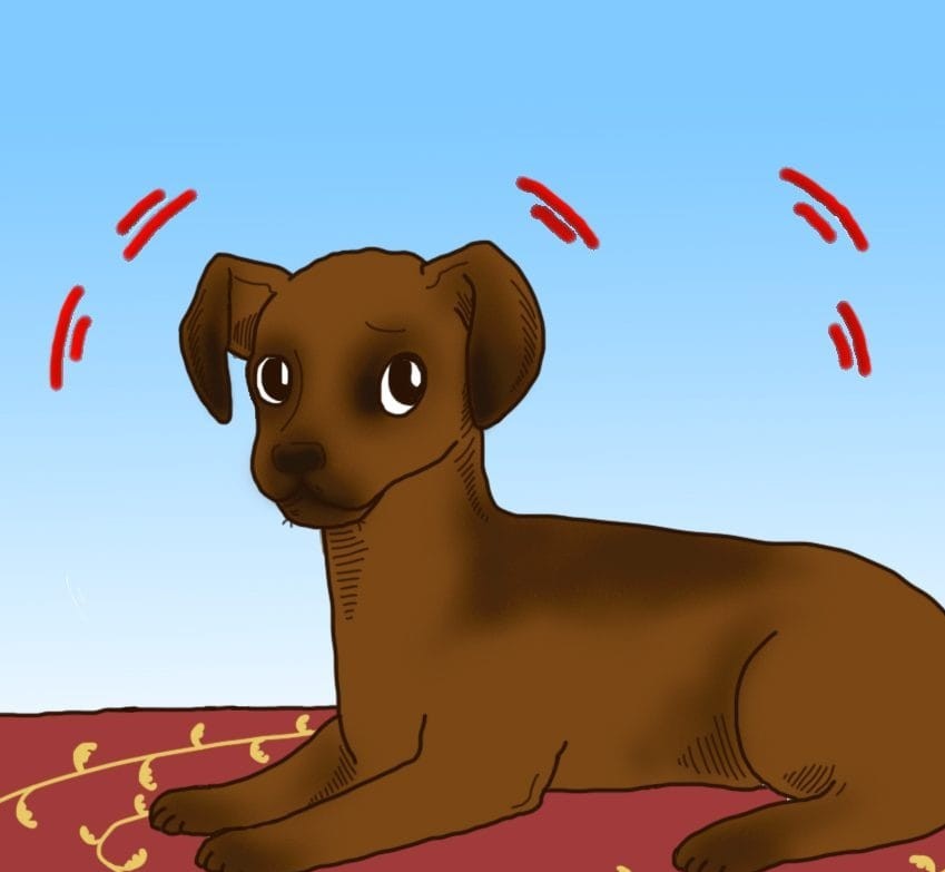 (1)6-toto-setilo-na-kuchinjata-shto-mozhe-da-predvidi-vasheto-mileniche-kafepauza.mk