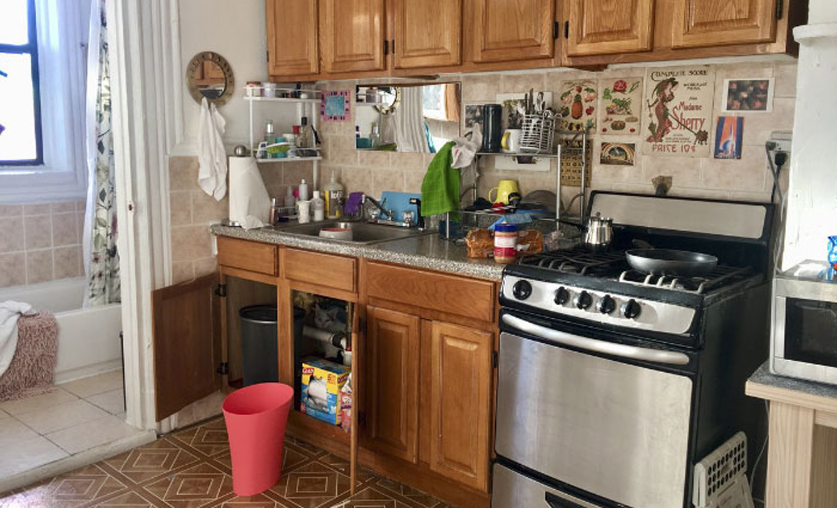 Нинџа мачка: Обидете се да го најдете слаткиот натрапник на овие фотографии