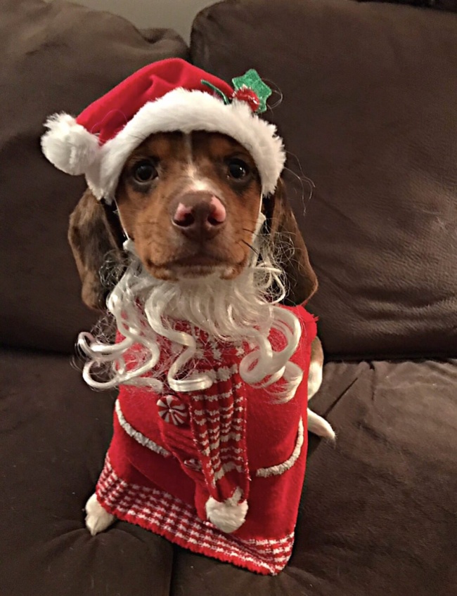 (18)23-fotografii-koi-kje-go-razbudat-bozhikjniot-duh-kaj-sekogo-kafepauza.mk