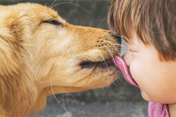 5 одвратни факти што треба да ги знаете пред да го бакнете вашето куче