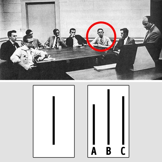 (2)10-eksperimenti-koi-pokazhuvaat-kolku-lesno-se-lazhat-lugjeto-kafepauza.mk