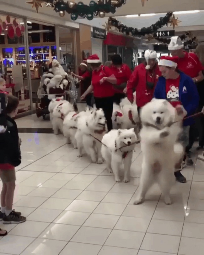 (23)23-fotografii-koi-kje-go-razbudat-bozhikjniot-duh-kaj-sekogo-kafepauza.mk