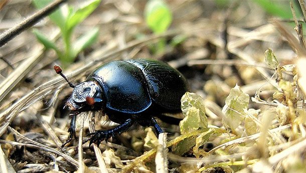 (23)25-prashanja-na-koi-ne-sakate-da-im-go-znaete-odgovorot-kafepauza.mk